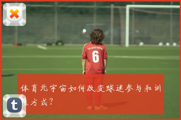 体育元宇宙如何改变球迷参与和训练方式？